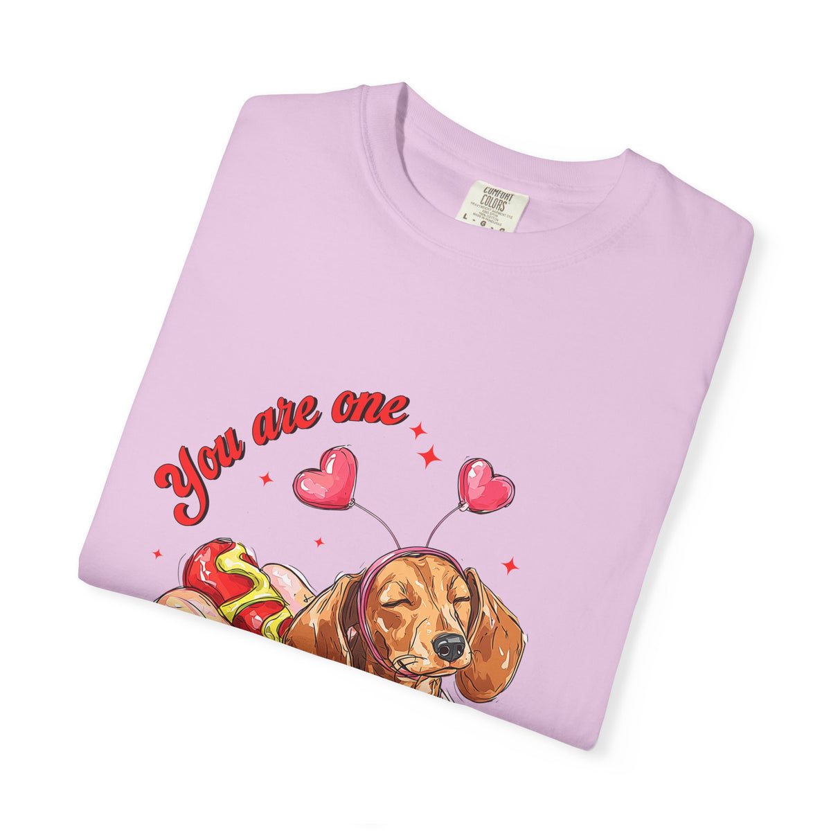 You Are One Hot Dog T-Shirt — Cute Dachshund Valentine Graphic Tee