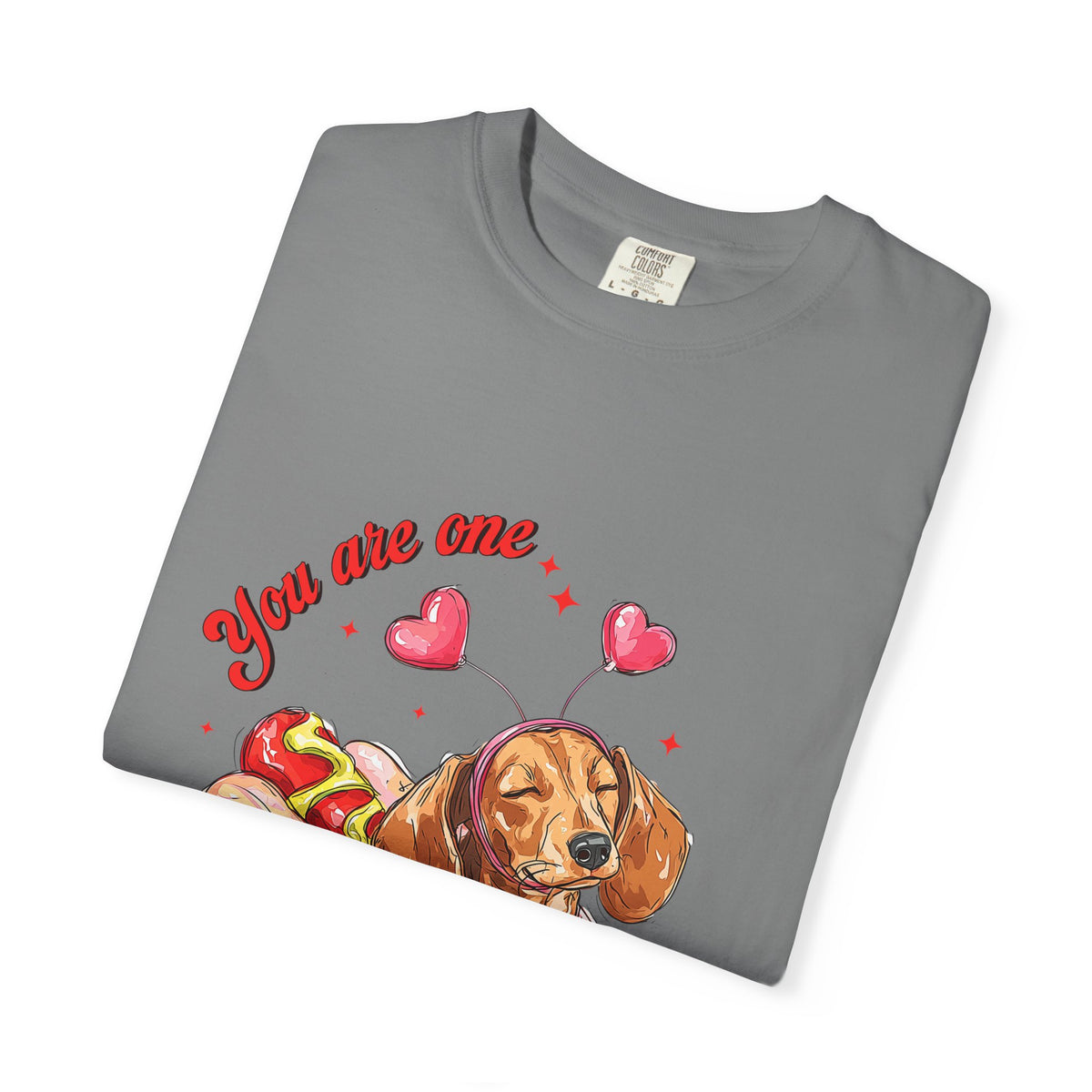You Are One Hot Dog T-Shirt — Cute Dachshund Valentine Graphic Tee