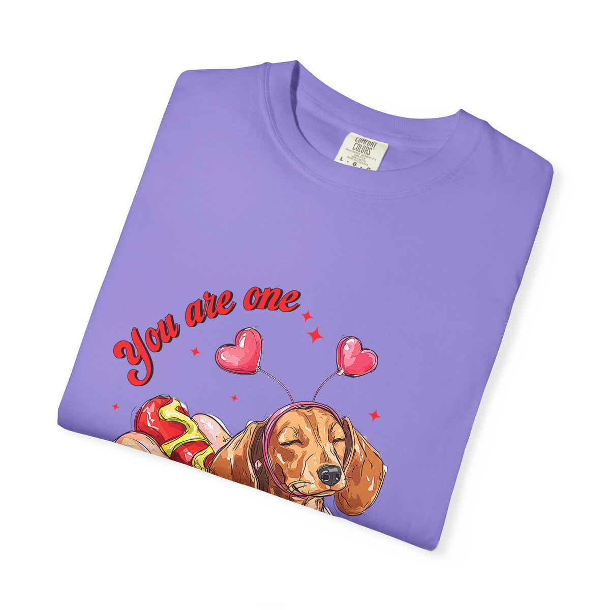 You Are One Hot Dog T-Shirt — Cute Dachshund Valentine Graphic Tee