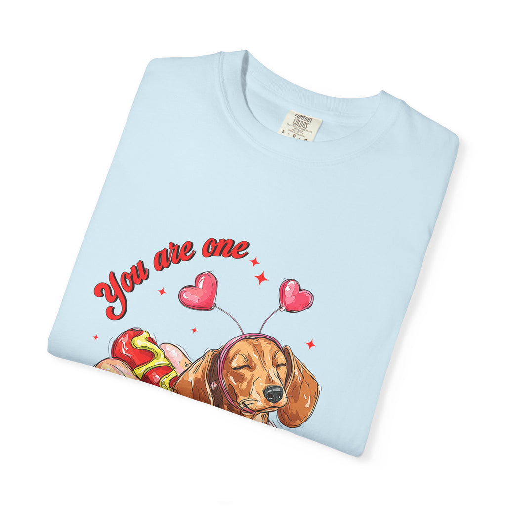 You Are One Hot Dog T-Shirt — Cute Dachshund Valentine Graphic Tee